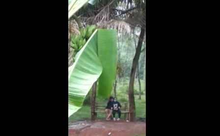 Unexpected Indo Viral Twitter Di Balik Tatapan Itu Lagi